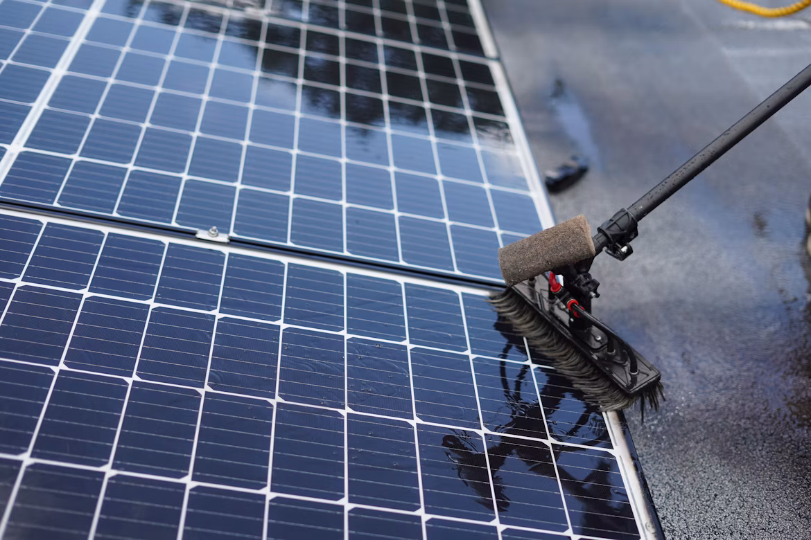 Solar panel cleaning and bird mesh by Master Roofing Services
